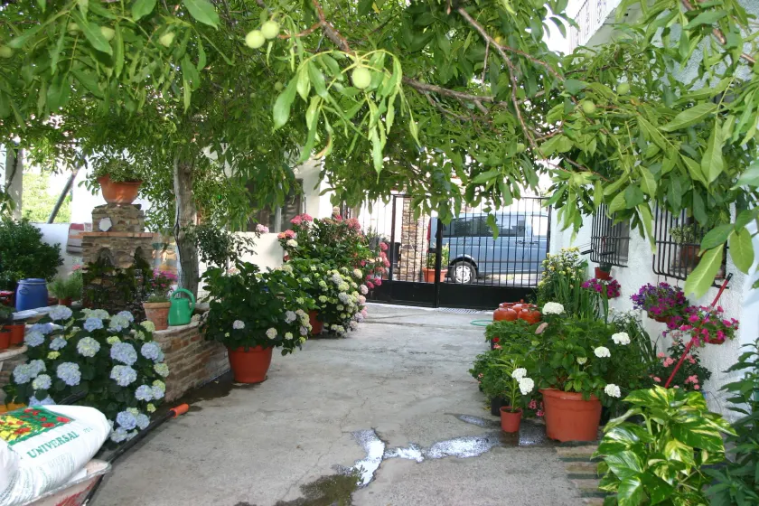 Hostal Rural Las Terrazas de la Alpujarra - Image 1