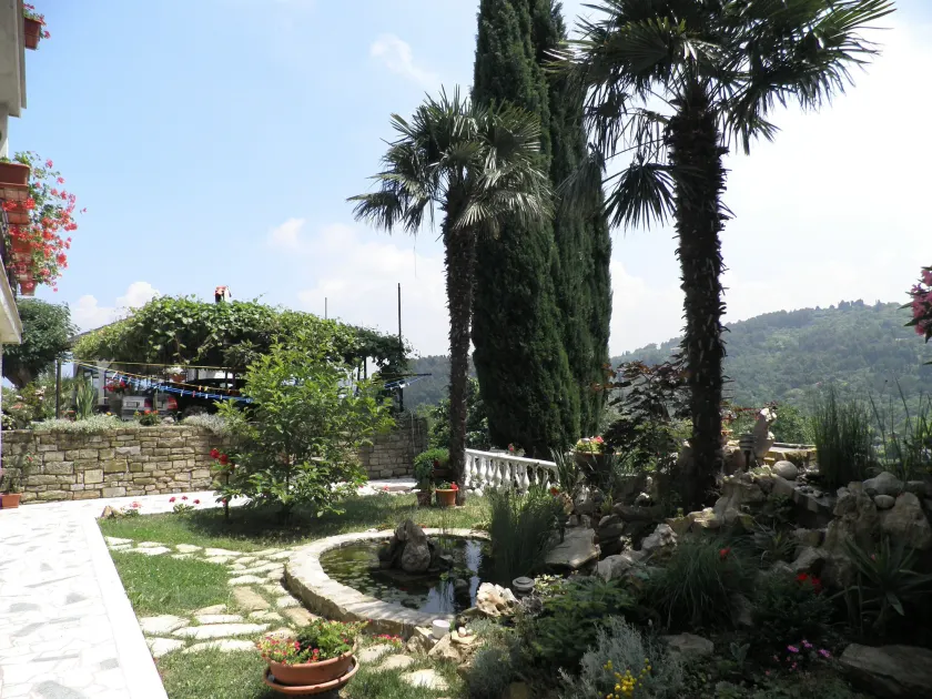 Sončne Terase - Image 1