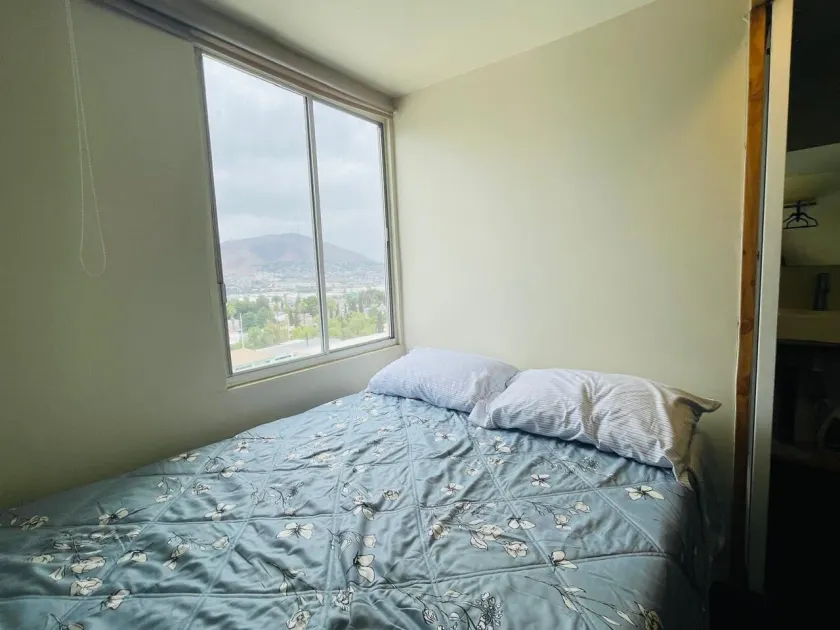 Estudios Pinos - Room