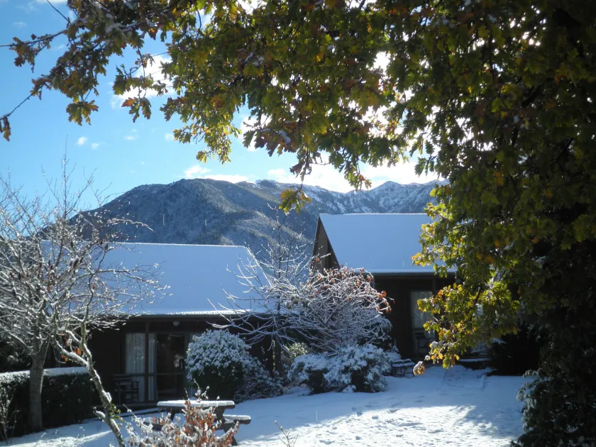 Forest Peak Motel - Image 1