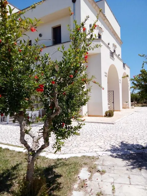 Tenuta Gli Agrumi del Salento - Image 1