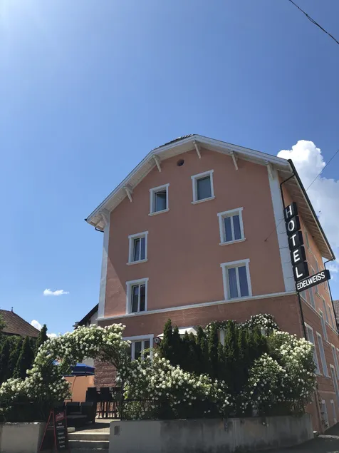 Hotel Edelweiss - Image 1