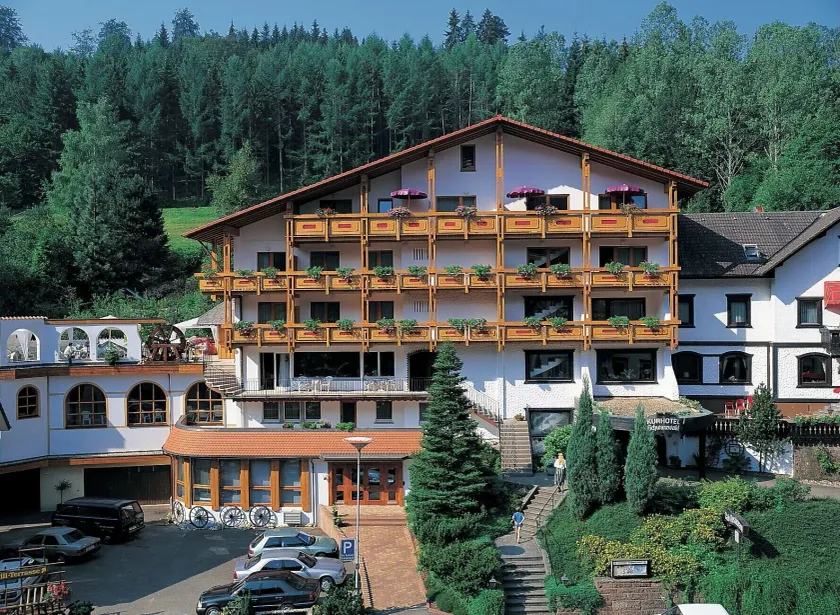 Holzschuhs Schwarzwaldhotel - Image 1