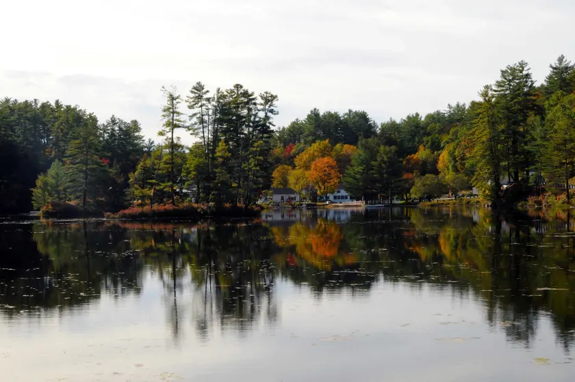 Purity Spring Resort - Image 1
