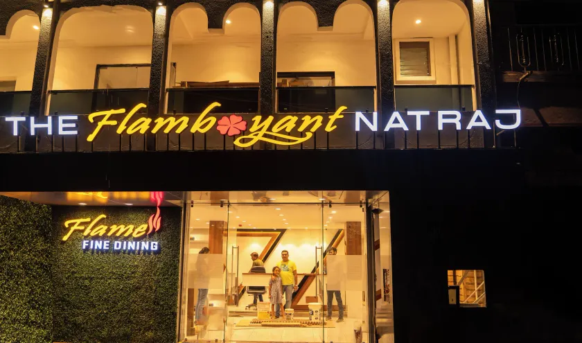The Flamboyant Natraj - Image 1