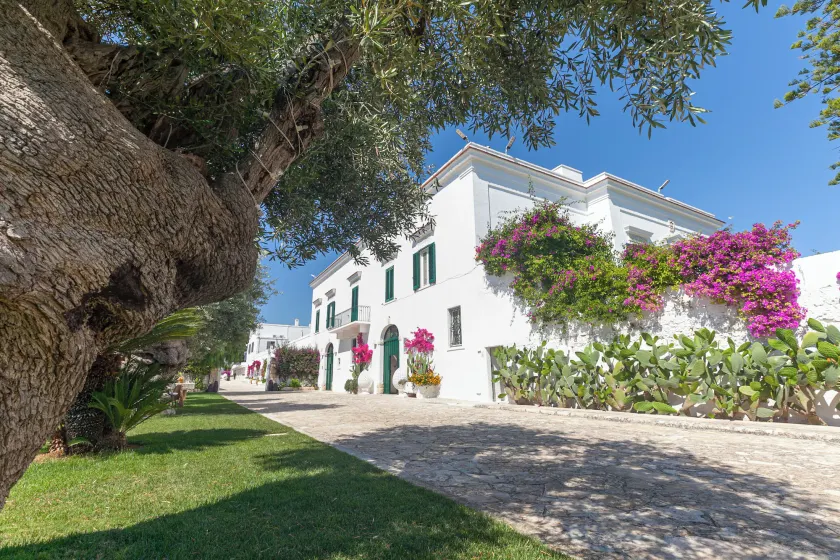 Masseria San Nicola Savelletri - B&B - Image 1