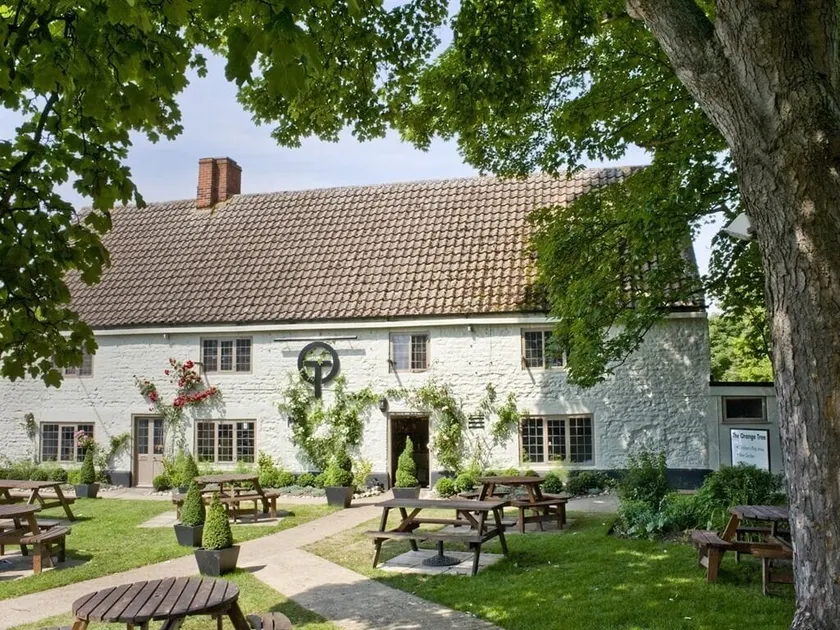 The Orange Tree - Image 1