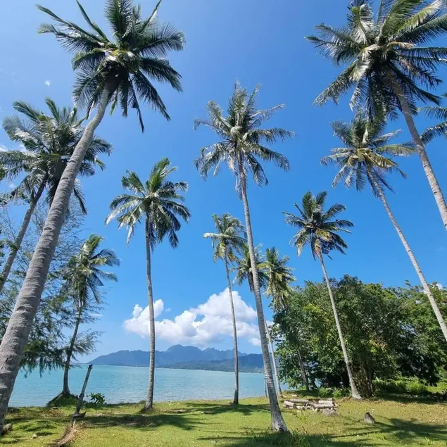 Coconut Beach Villa Langkawi - Image 1