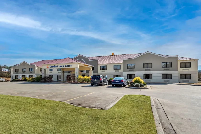 Comfort Inn & Suites Leeds I-20 - Image 1