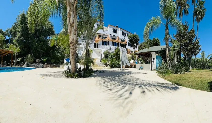 La Pina Verde - Image 1