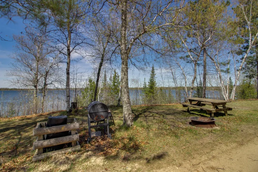 Family Escape on Gull Lake! Dock/launch Access - Image 1