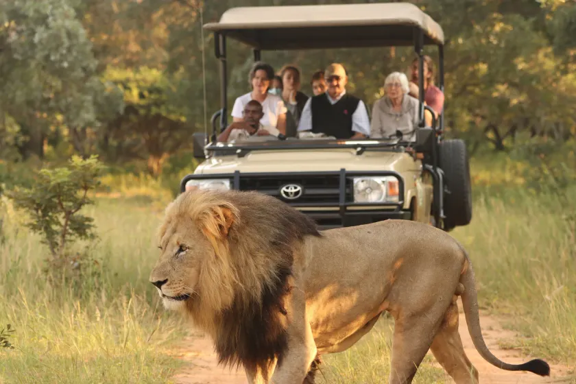 Honeyguide Ranger Camp - Image 1