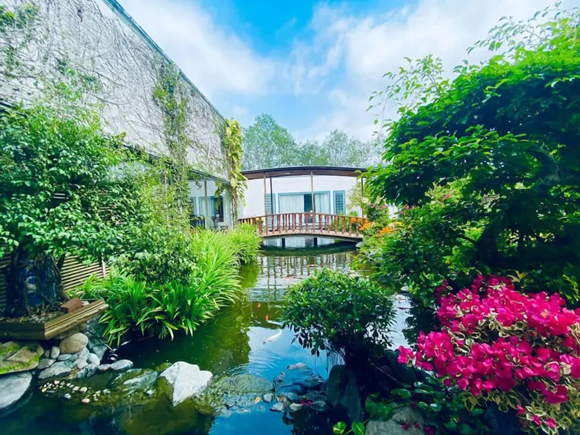Forever Green Resort - Image 1