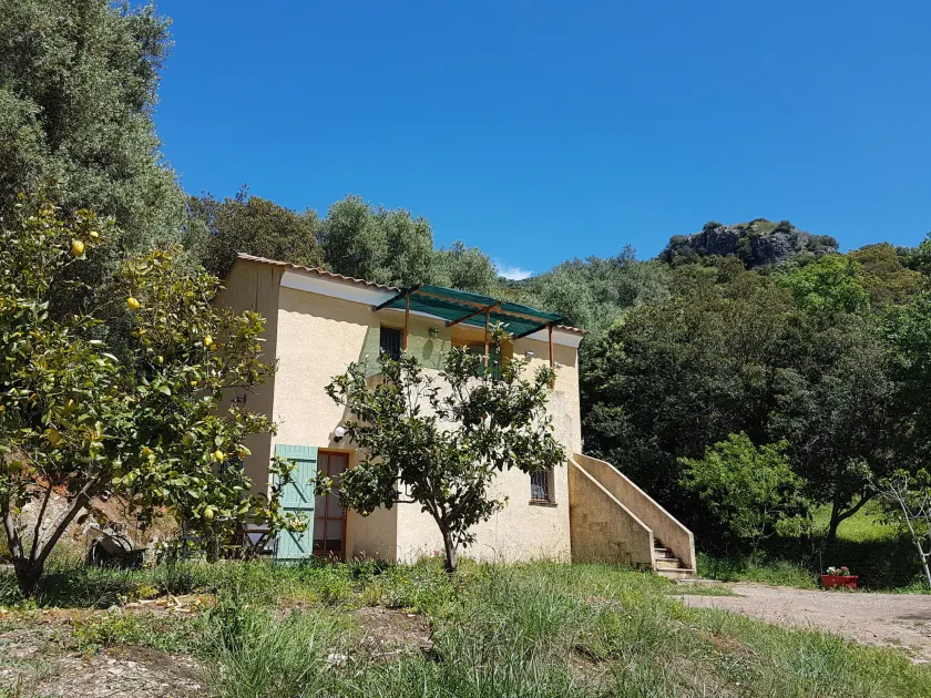 A CASA DI L'ALIVU - Image 1