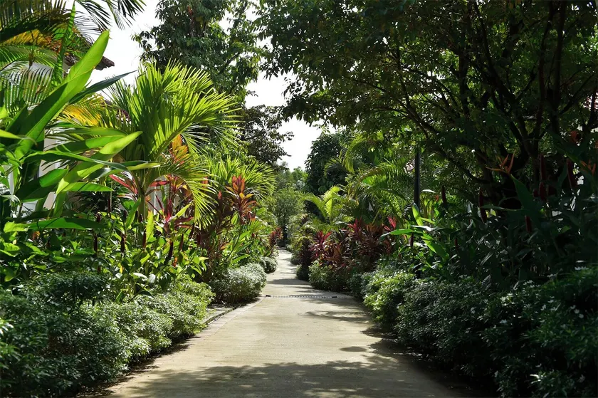Rainforest Resort Phu Quoc - Image 1