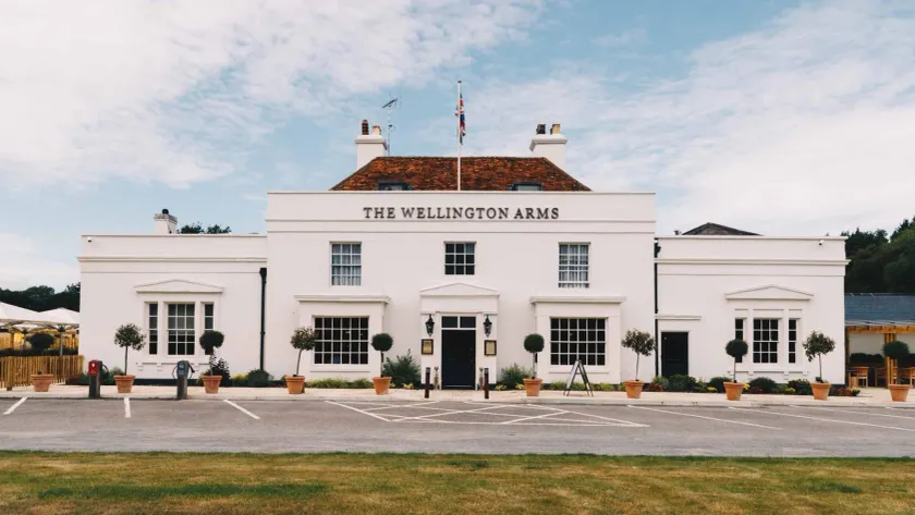 The Wellington Arms - Basingstoke-Reading - Image 1