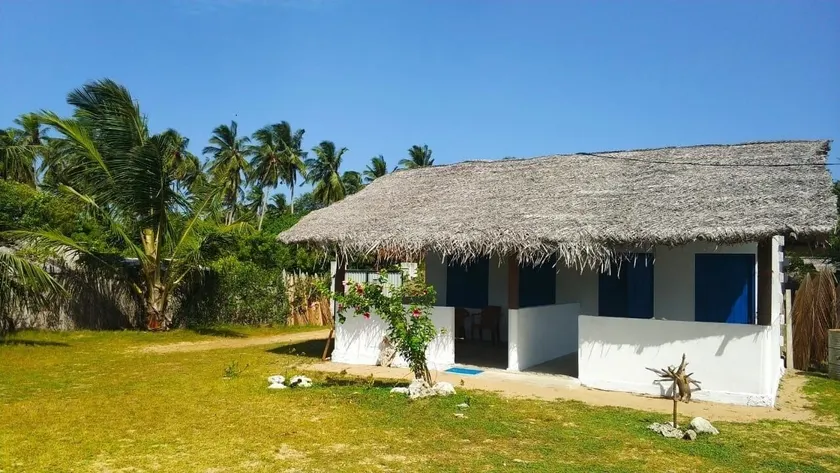 dolphin wadiya - Image 1