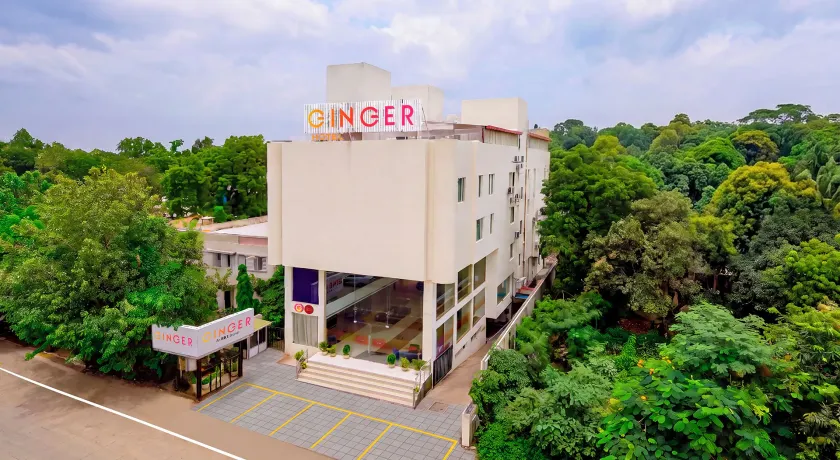 Ginger Bhavnagar - Image 1