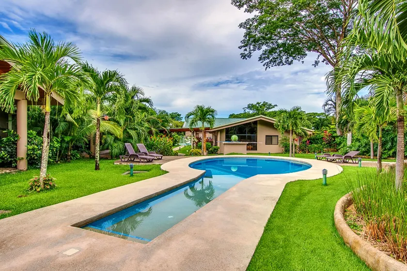 Hidden Palms - Image 1