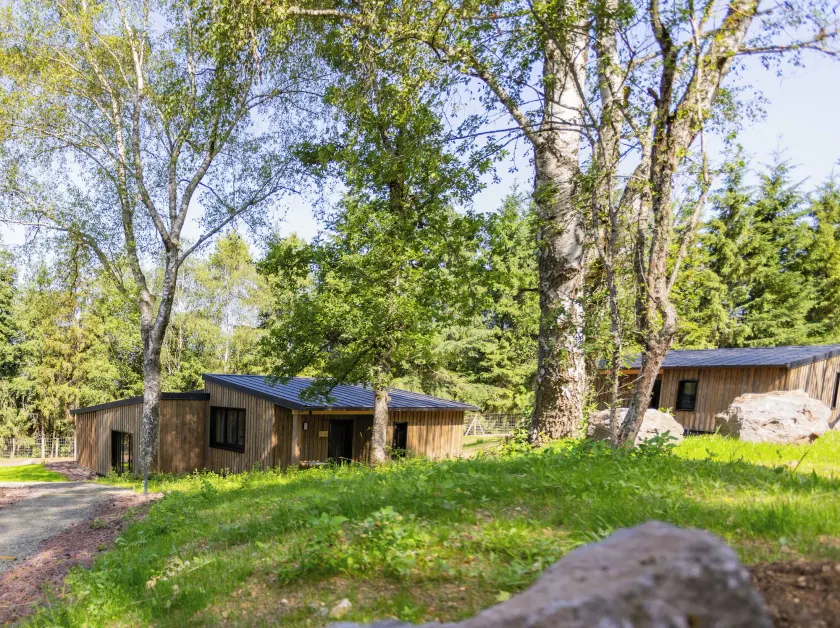 Hôtel - Lodges de Lemptégy - Image 1