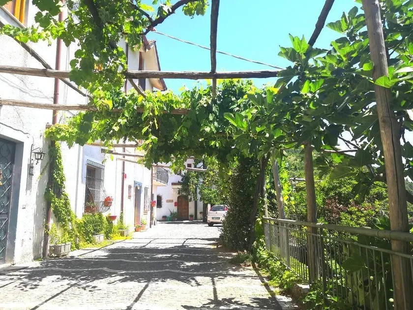 Agriturismo Il Castagno - Image 1