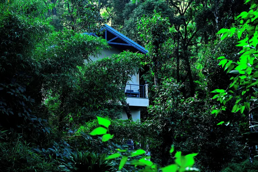 TANARYA LUXURY HOMESTAY - Image 1