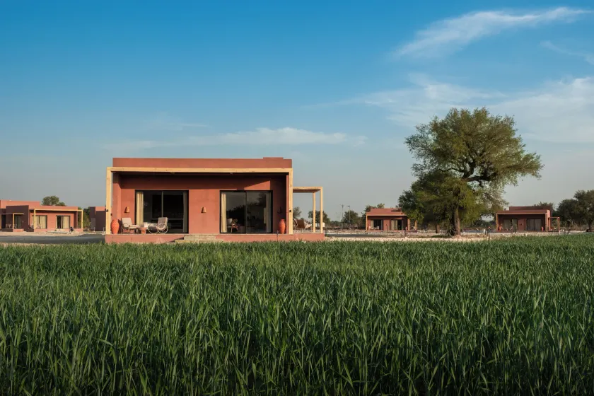 Mharo Khet Jodhpur - Image 1
