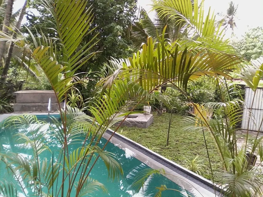 Asanka Surf House & Restaurant with pool - Image 1