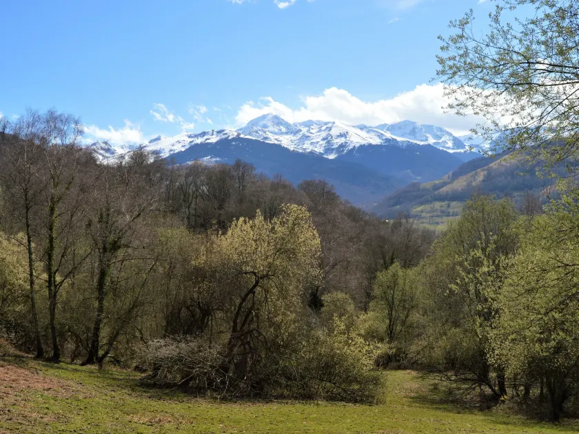 Le Perchoir des Pyrénées - Image 1