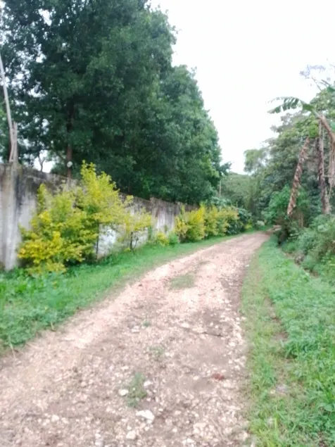 EL Jardin De Los Anturios - Image 1