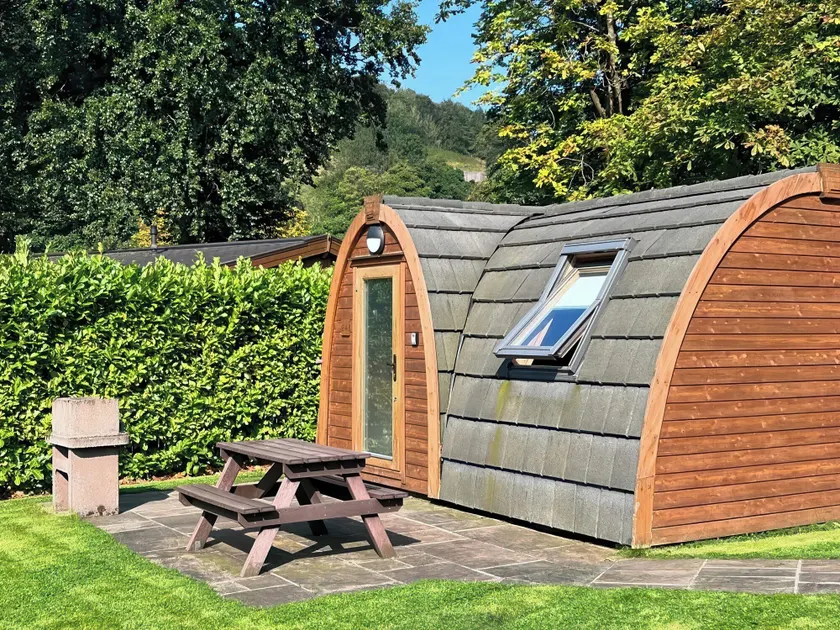 The Nest Pod - Image 1