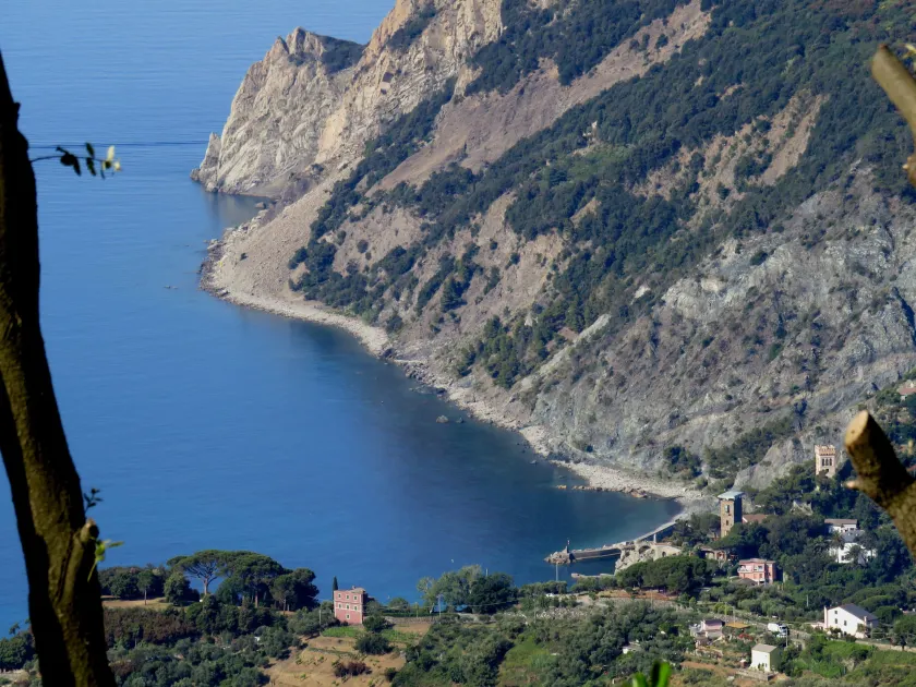 I Lecci Di Soviore - Image 1