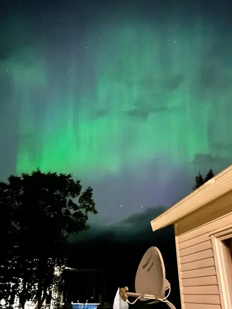Bonne Bay Cottages - Image 1