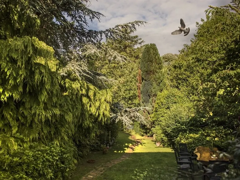 Ward Avenue B&B - Image 1