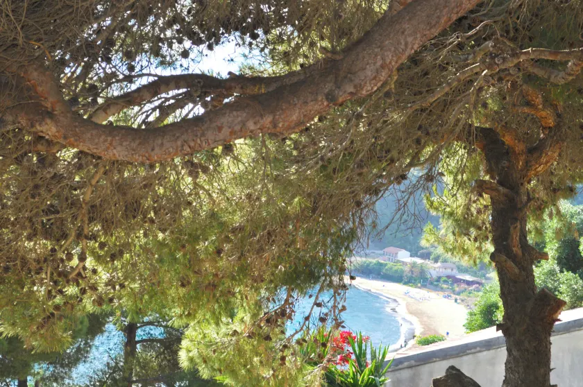Apartments and studio with swimming pool and Sea View in Pelekas Beach, Corfu - Image 1