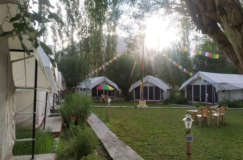 Lumbini Camp Hunder, Nubra Valley - Image 1