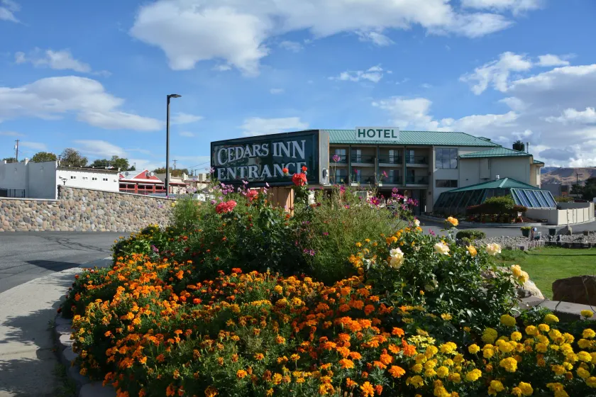 Cedars Inn - Image 1