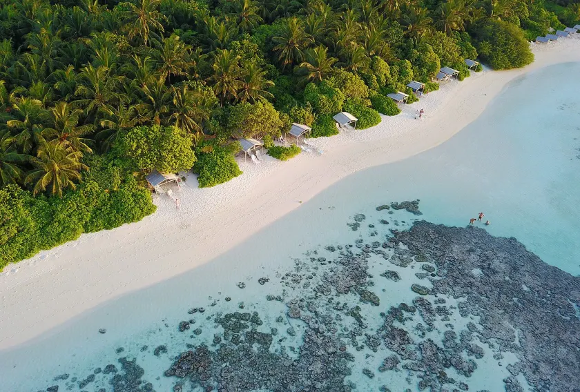 Plumeria Maldives - Image 1