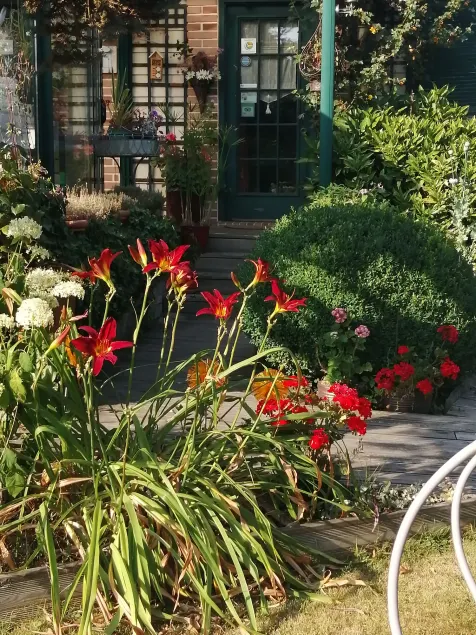 Le Frêne Fringant - Image 1