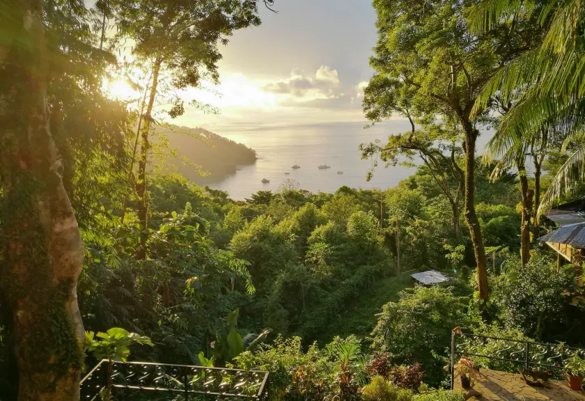 Mango Moon Villa - Image 1