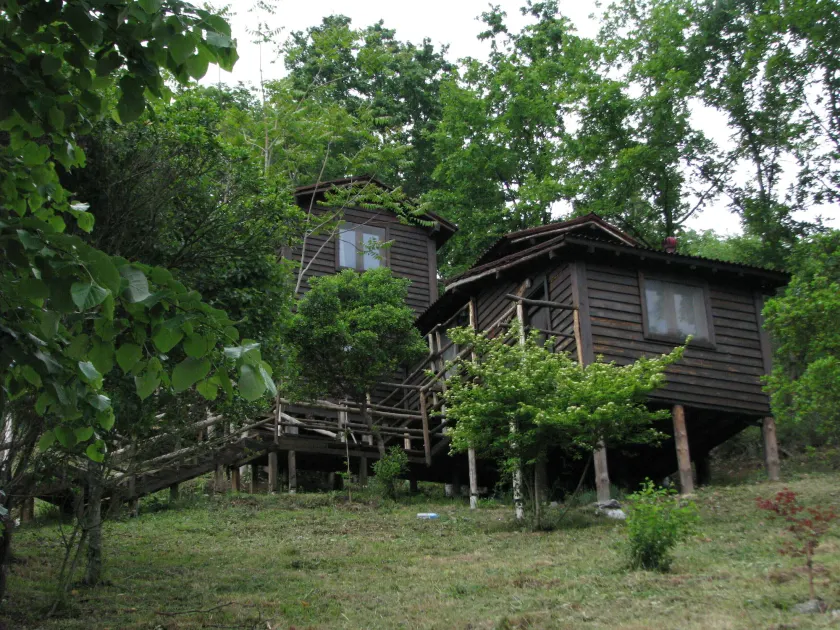 Kulindağ Dağ Evi - Image 1