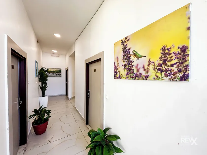 The Neeraj River Forest Resort Ayurvedic Wellness Center - Lobby