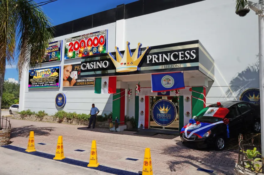 Princess Hotel and Casino Free Zone - Image 1