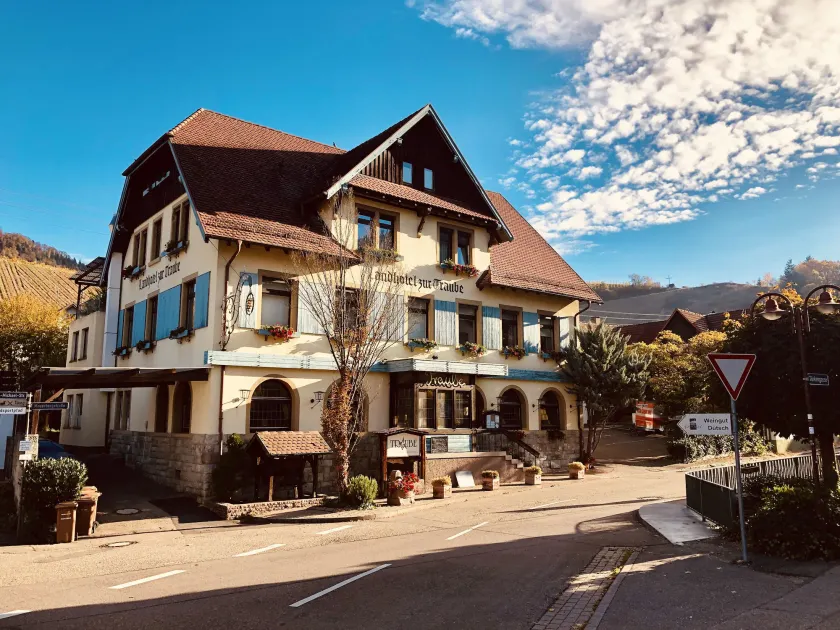 Landhotel Traube - Image 1
