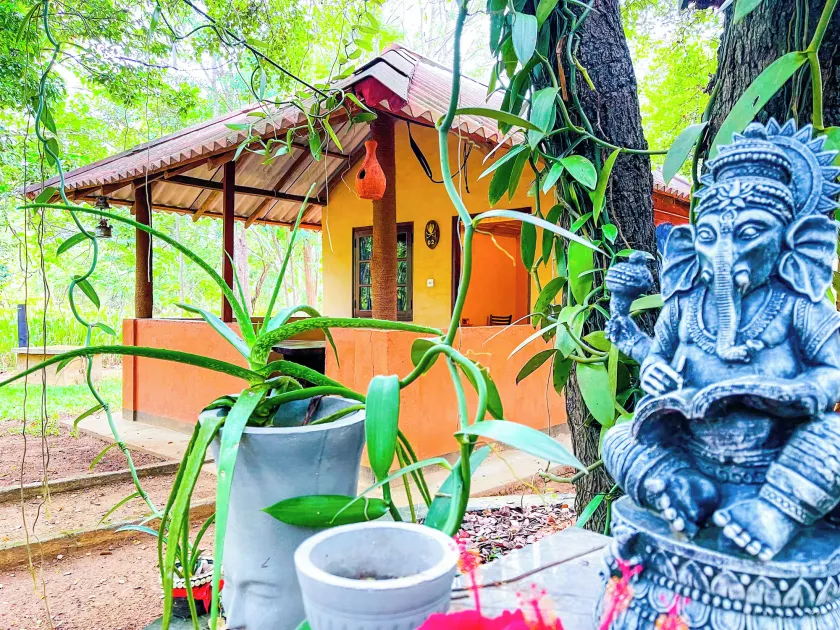 Niyagala Lodge - Image 1