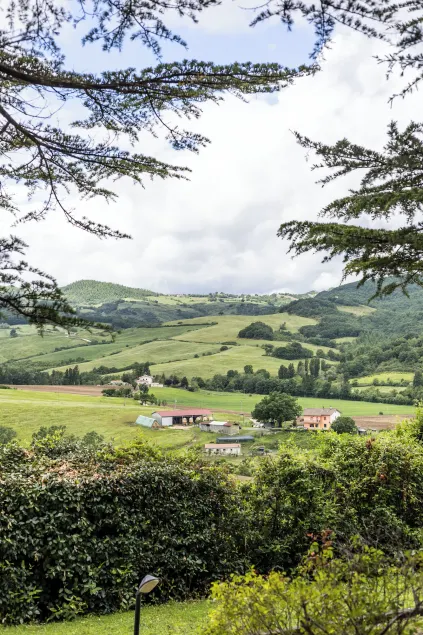 Tenuta Borgo San Michele - Image 1