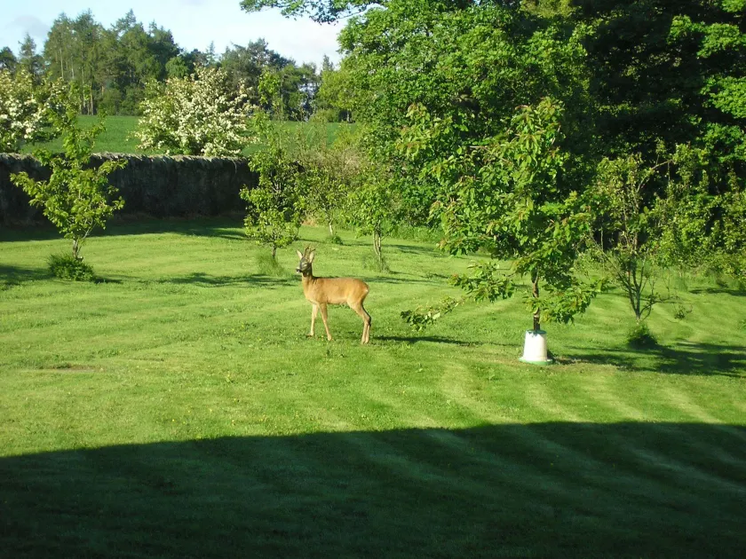 Balhousie Farm Bed and Breakfast - Image 1