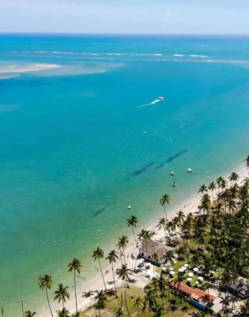 Flat Eco Resort-Praia dos Carneiros - Image 1