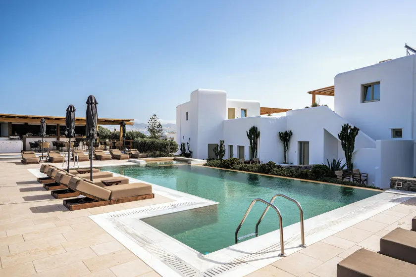 Mykonos Cactus - Image 1