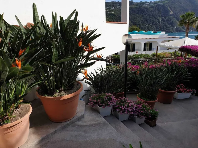 Villa Loreta - Image 1